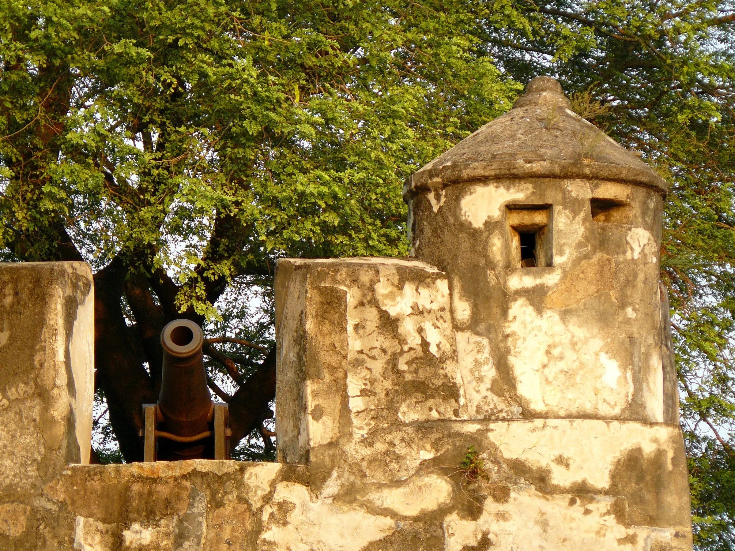 Guarita de pedra e canhão de ferro sobre o muro da Fortaleza do Monte, sob a copa de uma árvore, em luz quente.