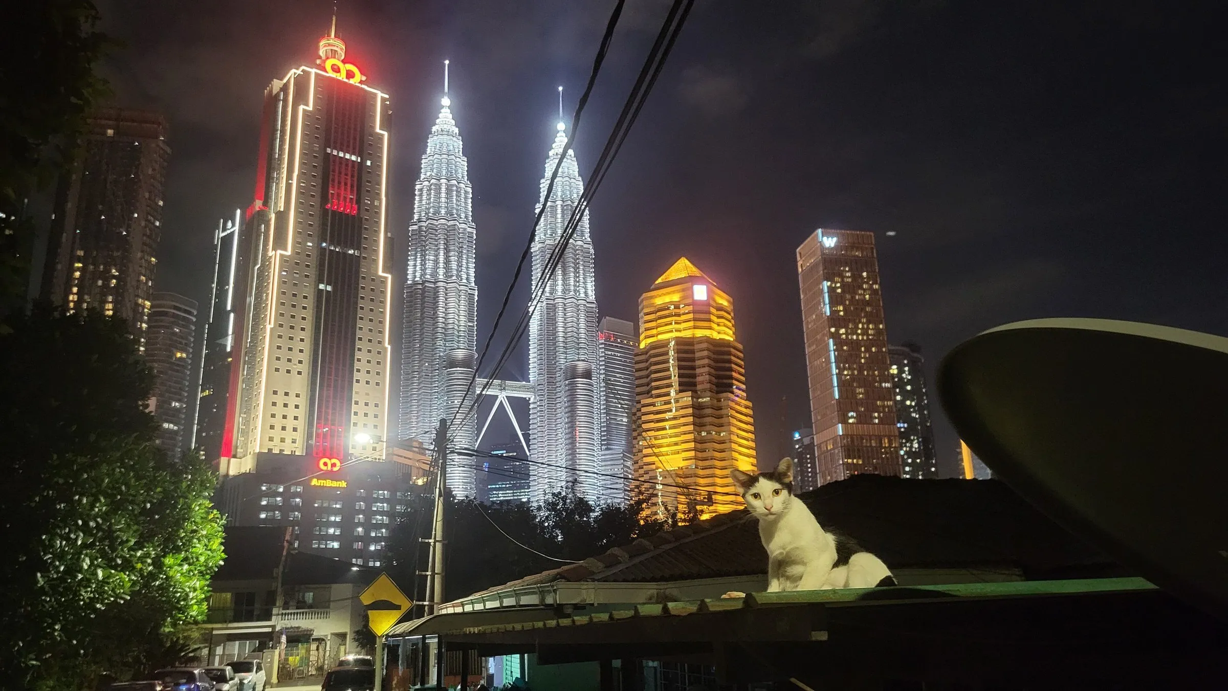 Torres Petronas iluminadas à noite atrás dos telhados baixos de Kampung Baru, com um gato branco e preto em primeiro plano.