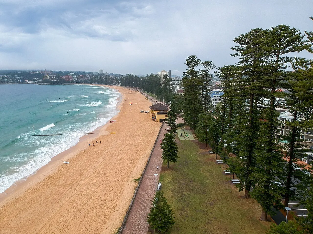 Praia oceânica de Manly vista do alto, com ondas, areia, calçadão e fileira de pinheiros sob céu nublado.