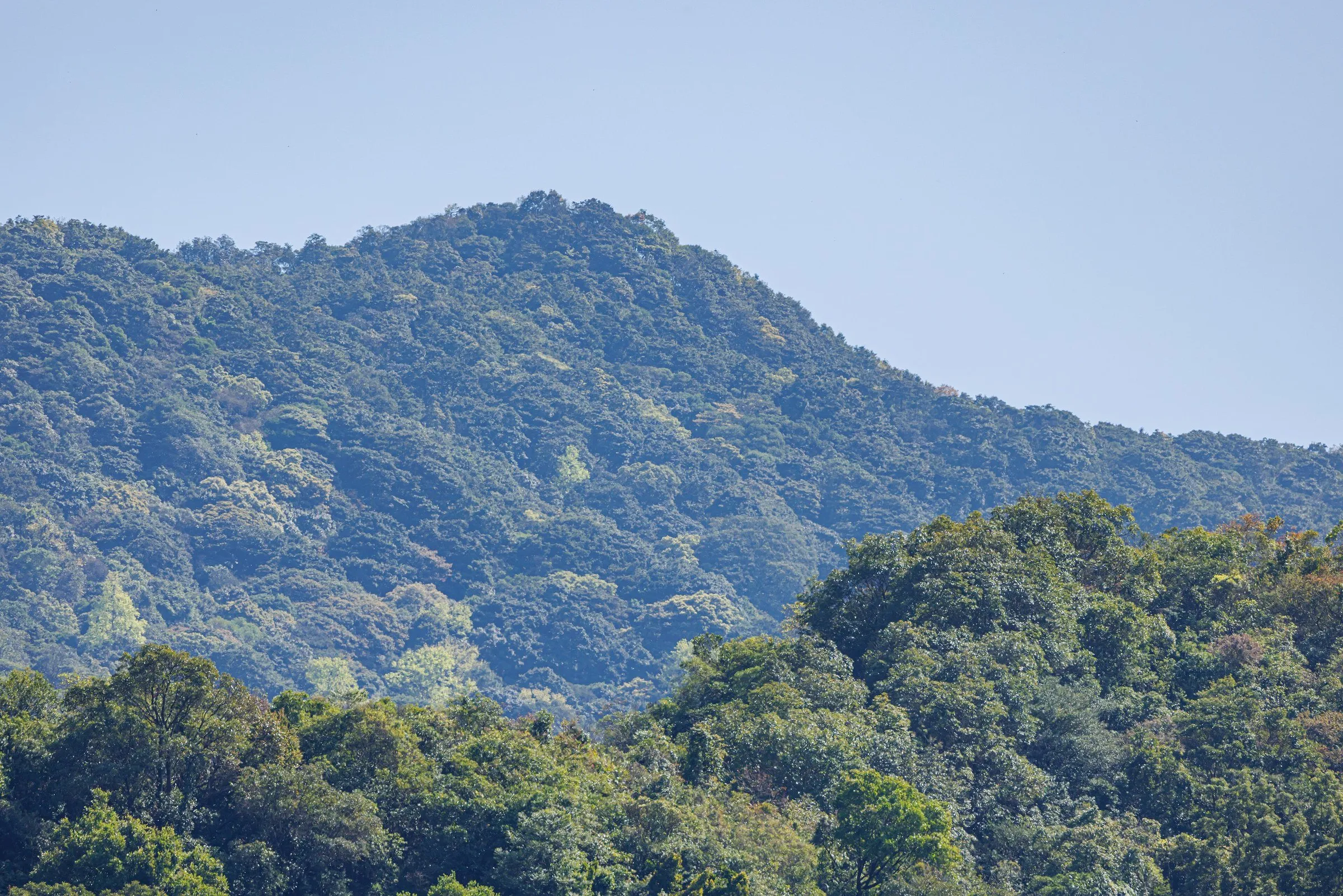 Encosta coberta de floresta densa do Monte Wutong, em Shenzhen, sob céu azul com poucas nuvens.