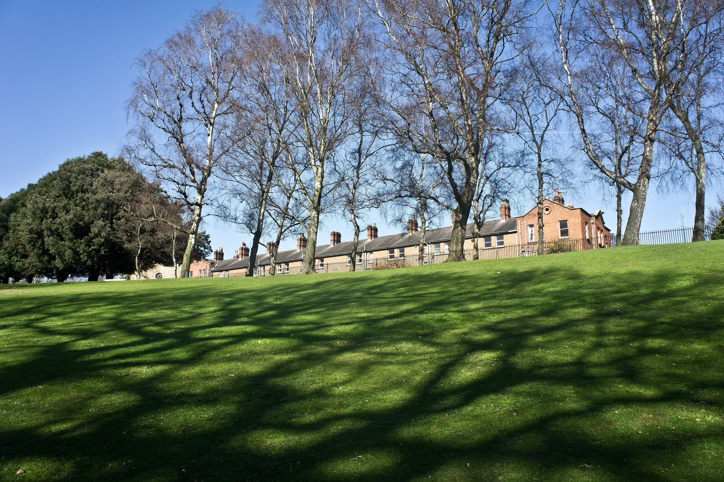 Gramado do Phoenix Park com sombras de árvores sem folhas e edifício de tijolos ao fundo, sob céu azul.