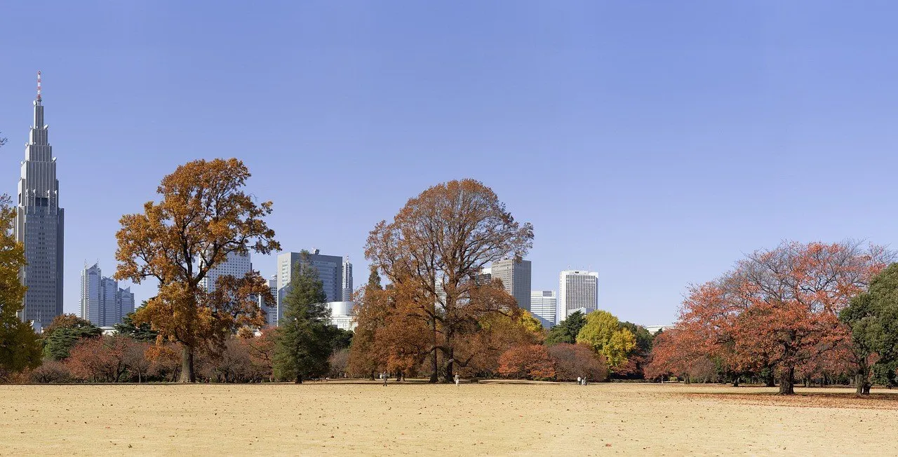 Gramado amplo do Shinjuku Gyoen com árvores em tons de outono e arranha-céus de Shinjuku ao fundo.